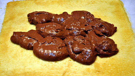Bûche de Noël / Buturuga de Craciun - rulada de pandispan in ciocolata